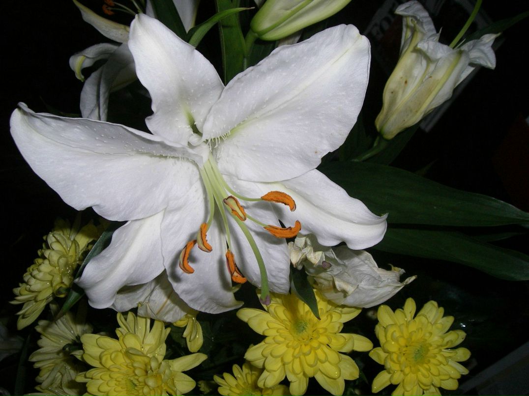 Наталья Суворова | 