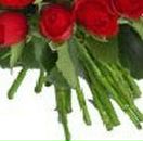 Евгения Владимировна | Орша