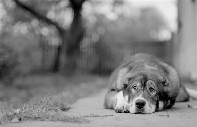 Катенька Мужановская | Нижний Тагил