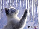 Фотография Сашенька Савицкая
