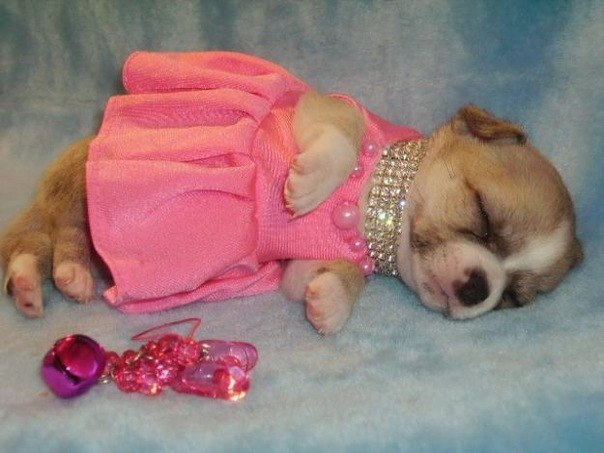 №8, Анна Гапонова №8, Анна Гапонова