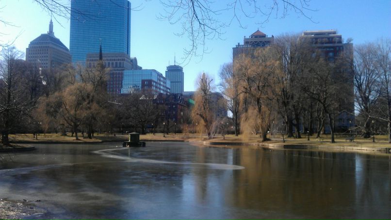 Олег Береза | New York City