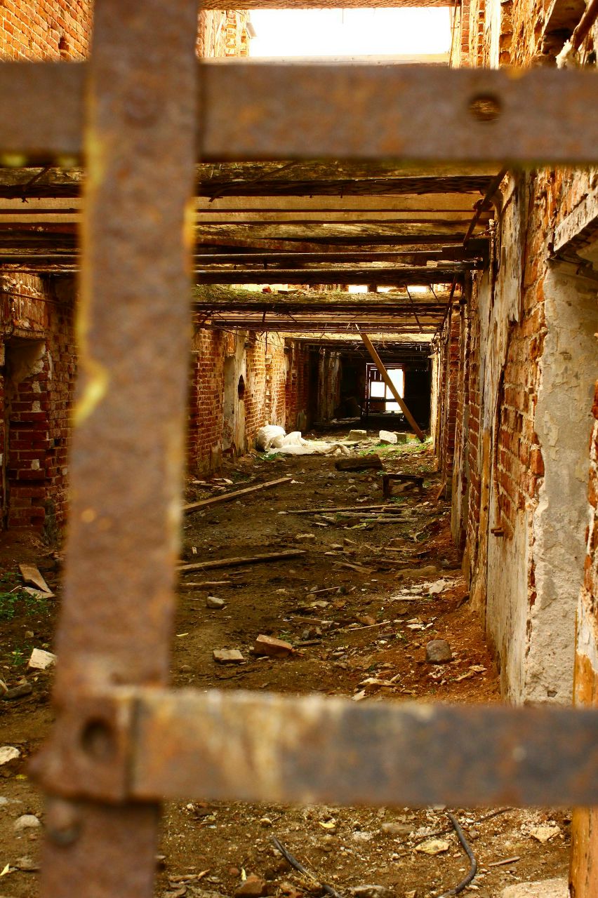 Артем Дмитриев | Москва