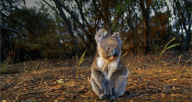 Volodymyr Pavlenko | Киев
