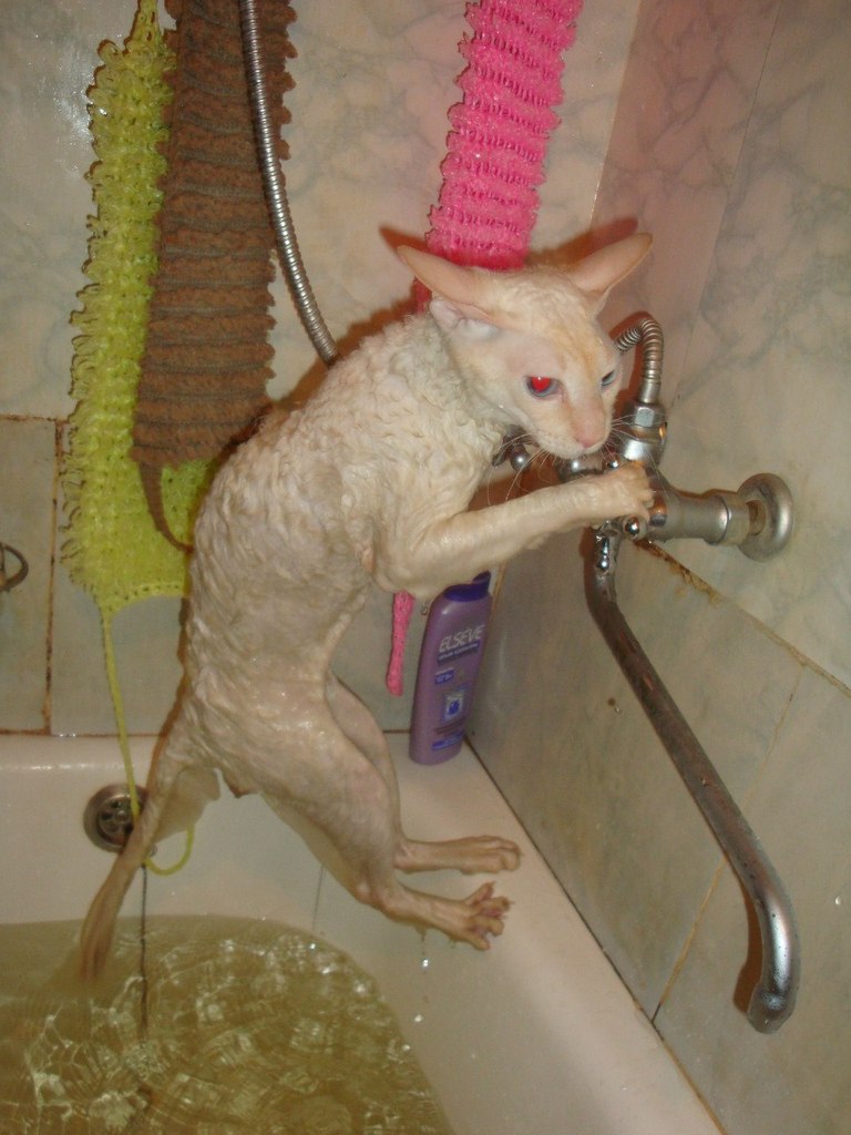 Миня Михалыч | Екатеринбург