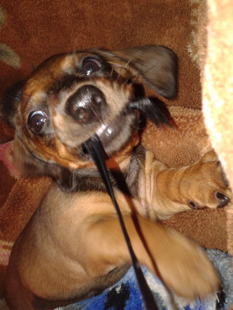 Мишаня Мишаничь | Запорожье