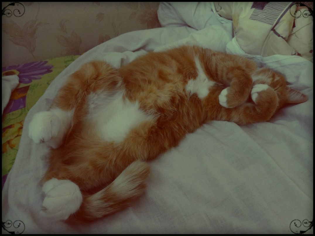 Katty Cruel † | Москва