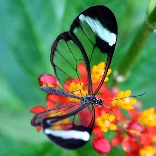 Яна Граборова | Мариуполь