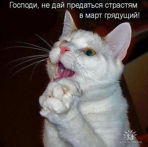 Михаил Попелышкин | Санкт-Петербург