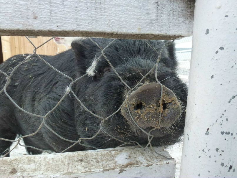 Павел Чернятьев | Екатеринбург