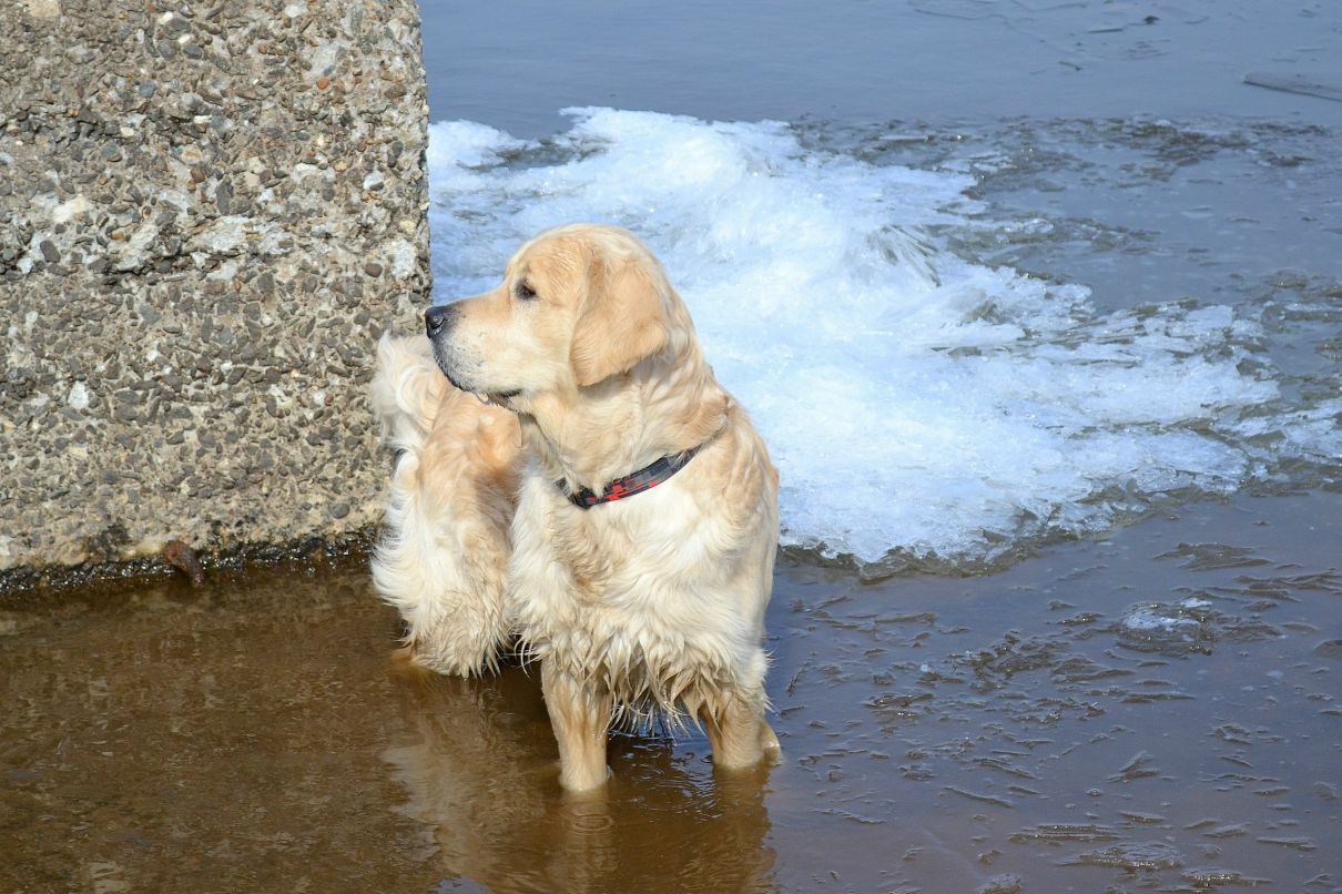 Светлана Ерусланова | Пермь