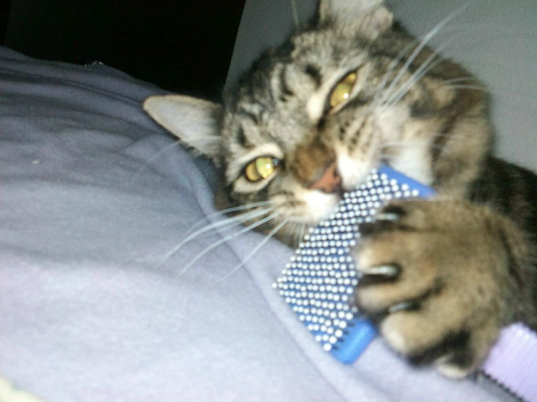 Олька Евсеева | Tampa