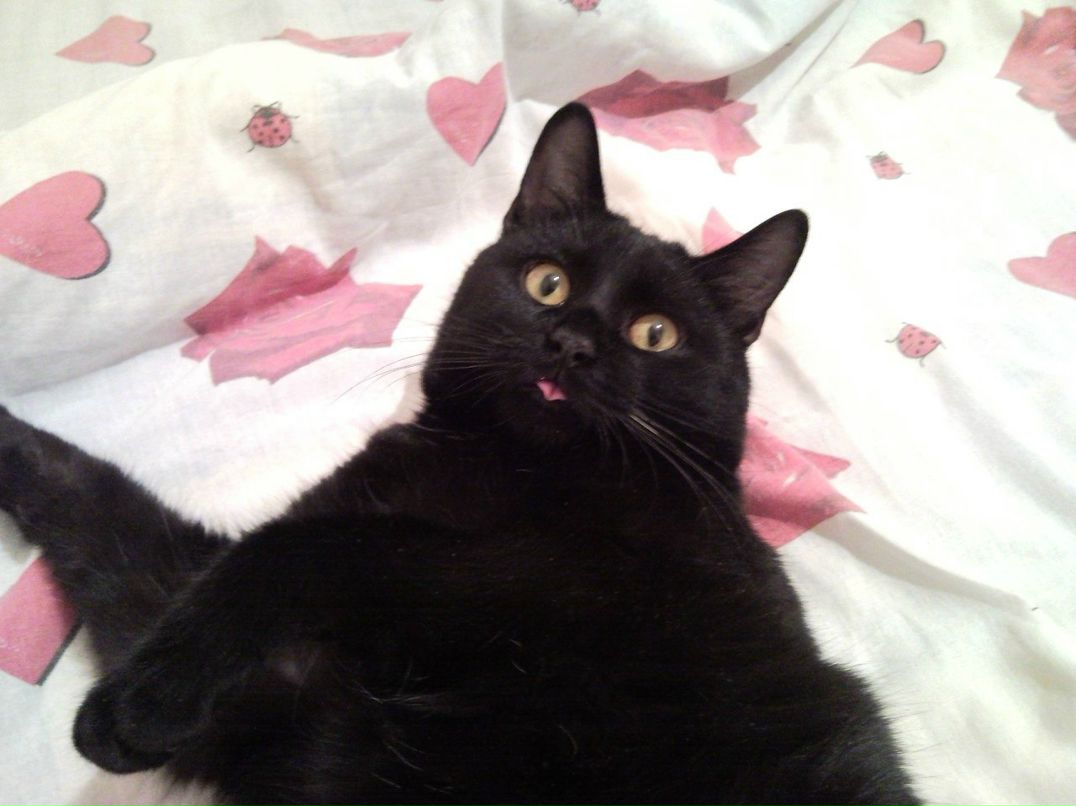 Катюша Еникеева | Казань