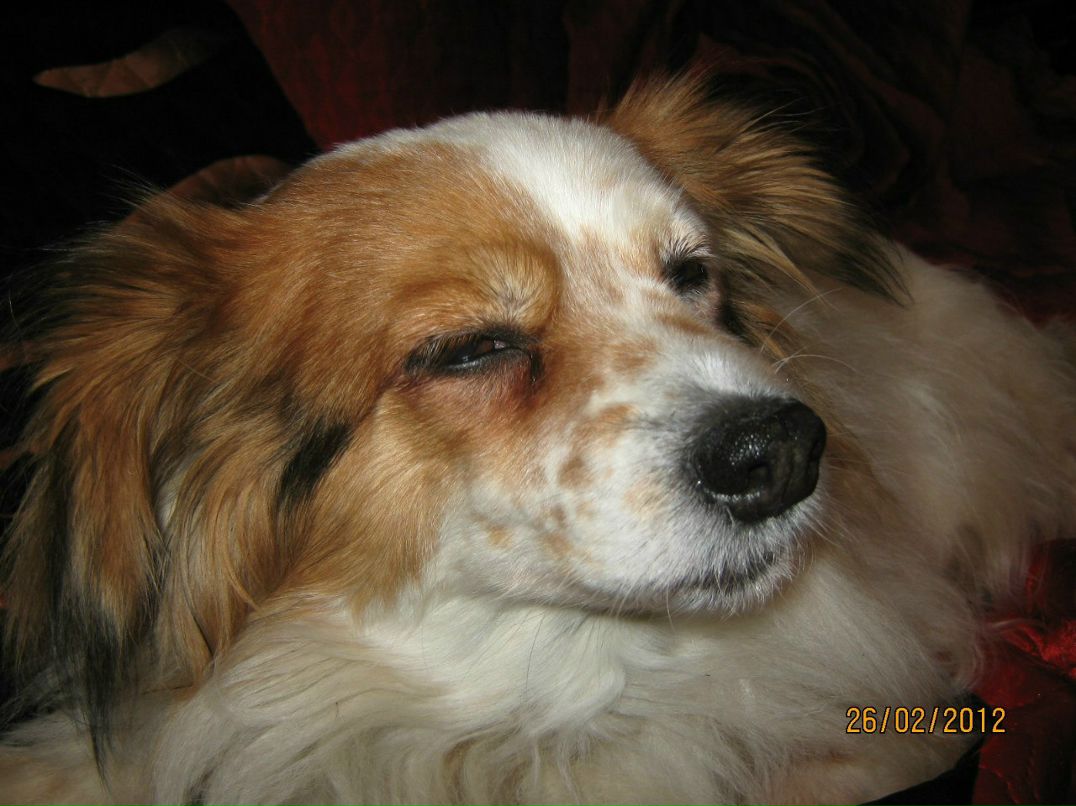 Наталья Палагичева | Санкт-Петербург