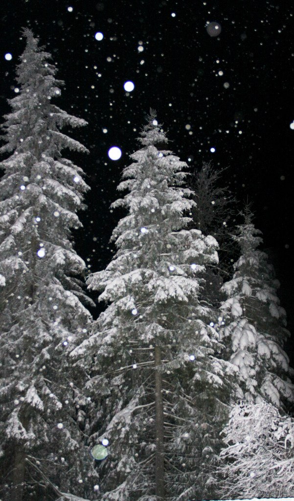 Светлана Дарькина | Москва