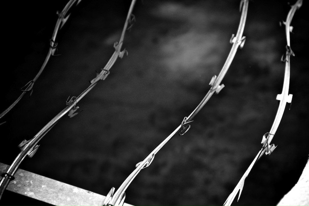 Игорь Ревенко | 