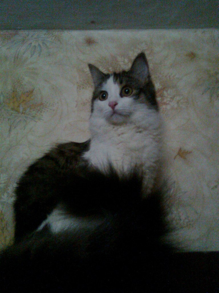 Наталья Коробова Евгеньевна | Красноярск