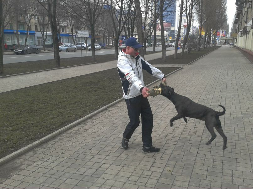 Денис Иванчура | Донецк