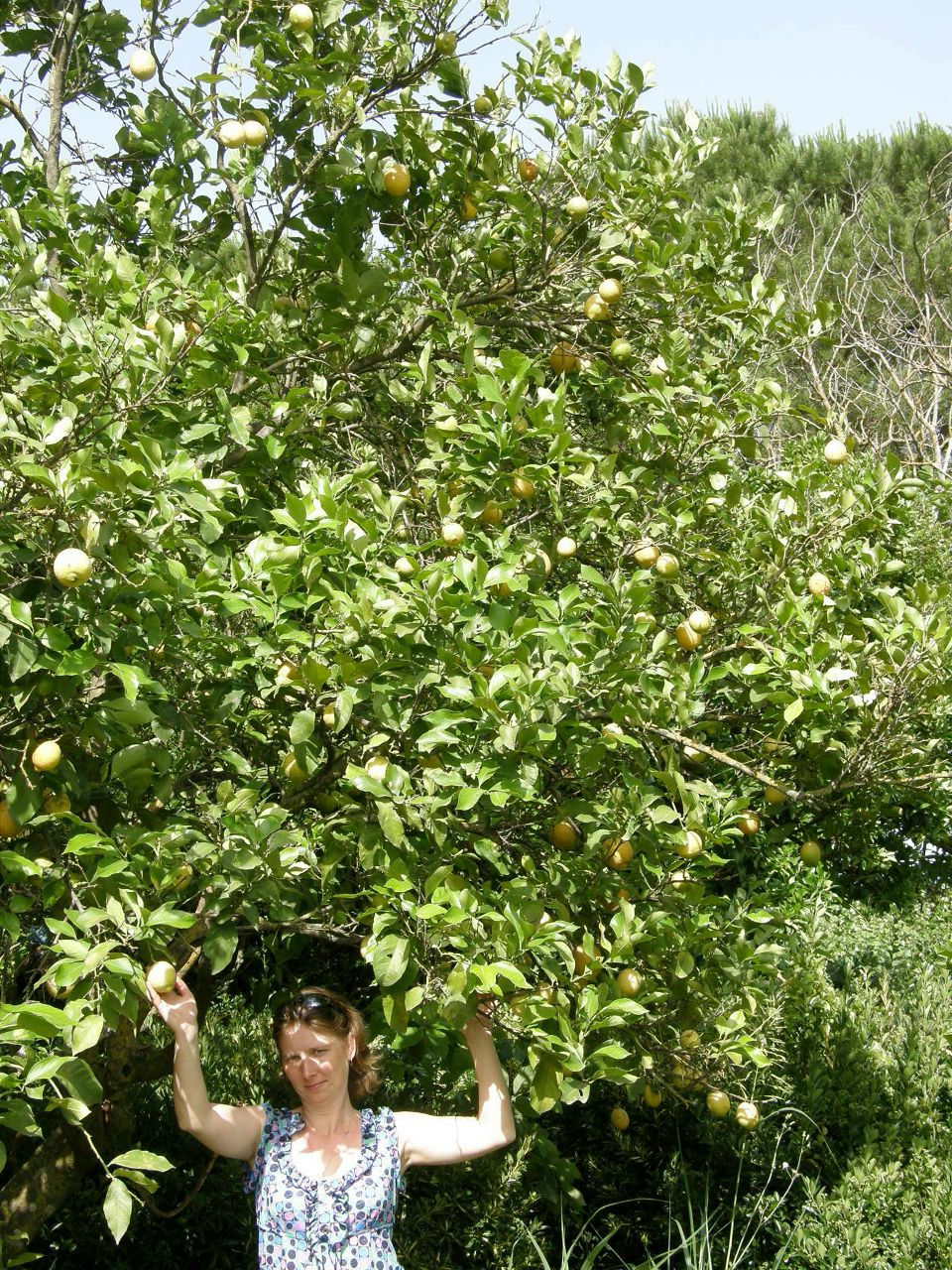 Олег Иванов | Санкт-Петербург
