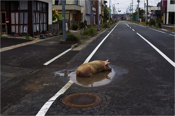 Саша Потапов | Киев