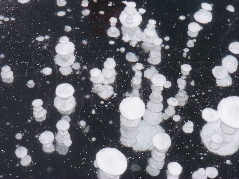 Ирина Васильева | Челябинск