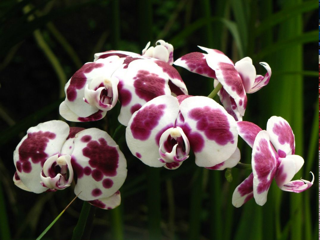 Марина Тышева | Северодвинск