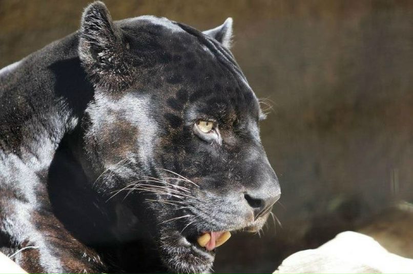 Назар Назаров | Киев