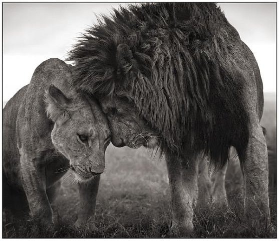 Ольга Малина фото профиля #2