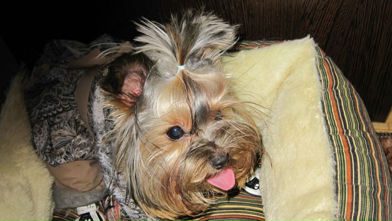 Елена Габдуллина(ягодарова) | Москва