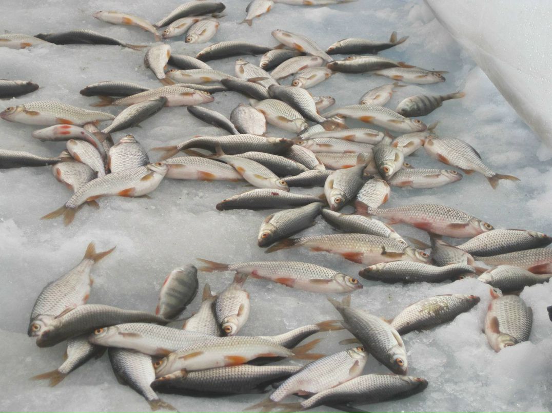 Андрей Пукович tipo4ek238 | Харьков