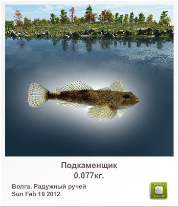 Александр Силин | Великие Луки