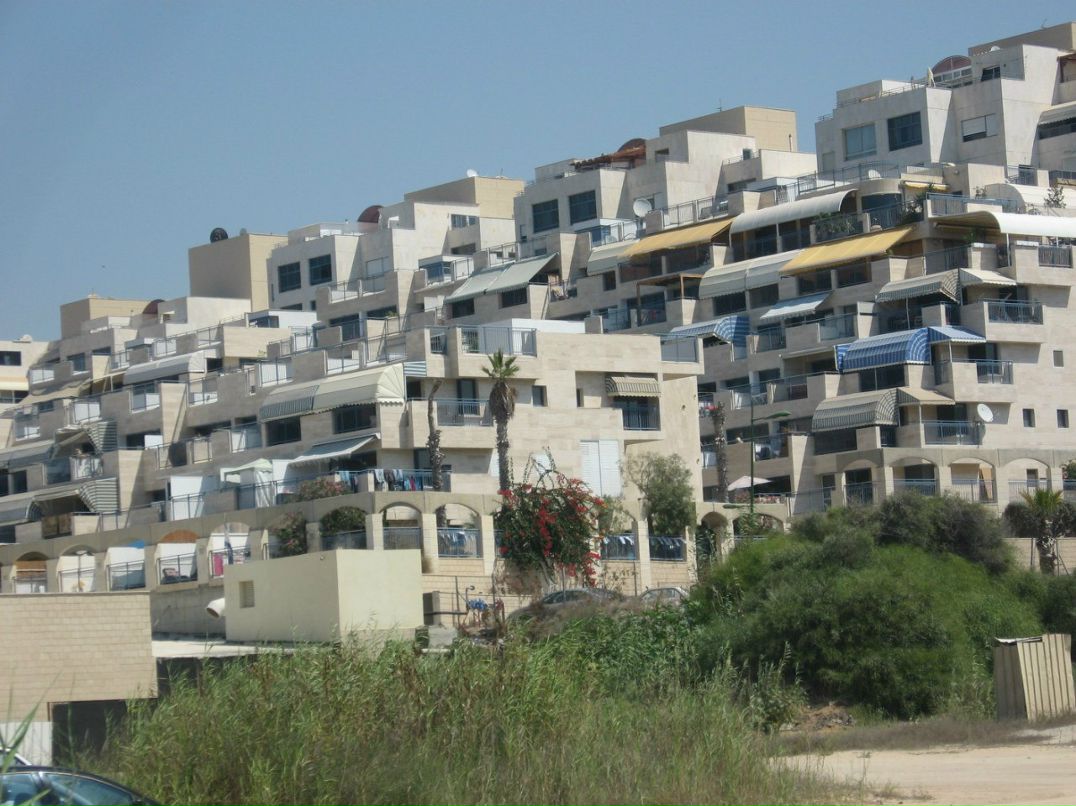 Светлана Фадеева | Калининград