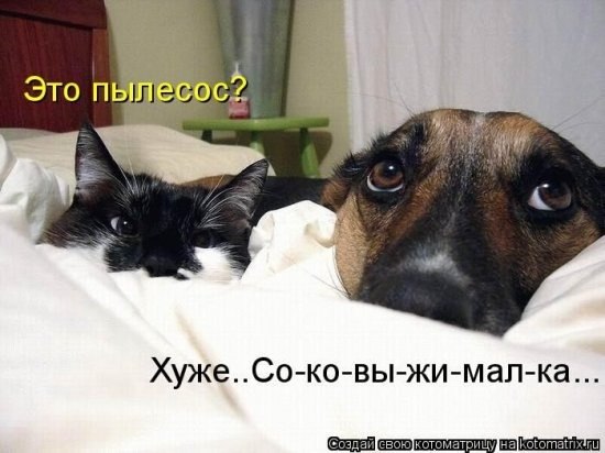 Тоня Чумакова | Абакан