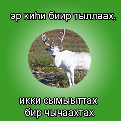 邃2, Erdem Alexandrovich 邃2, Erdem Alexandrovich