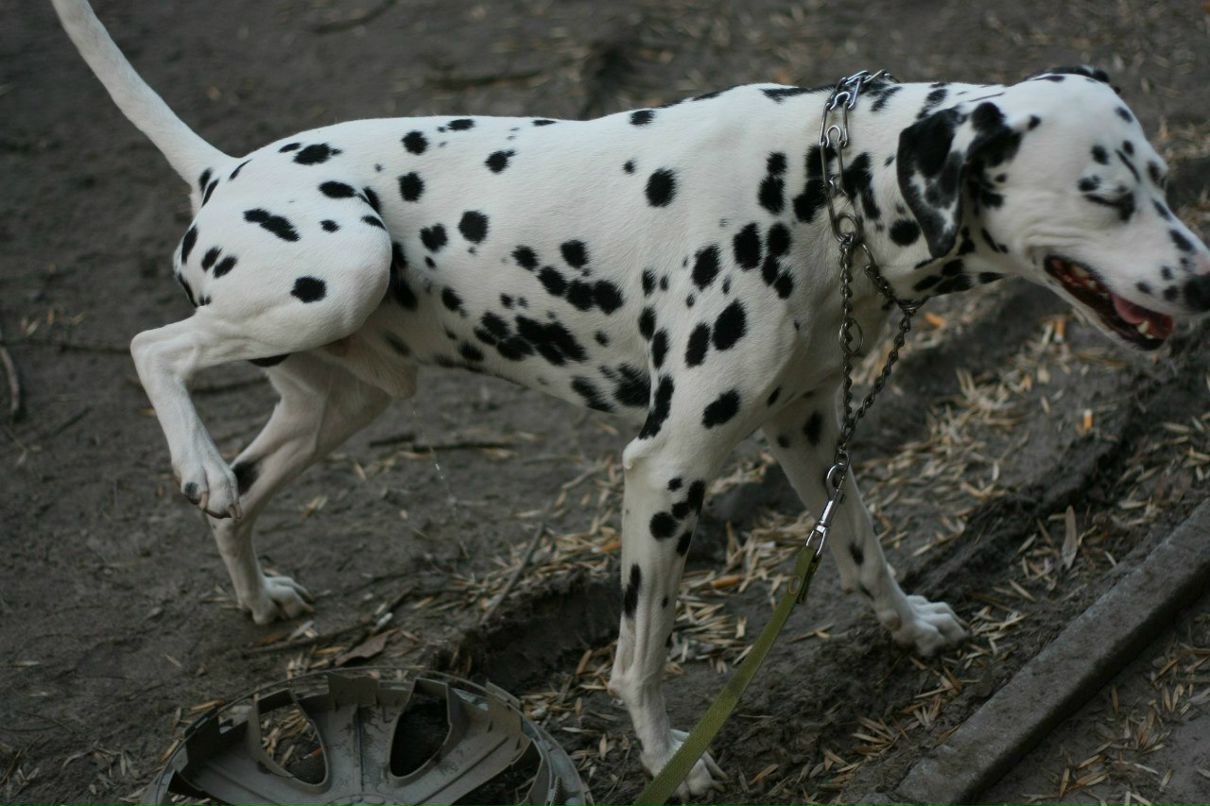 Славик Аджигитов | Москва