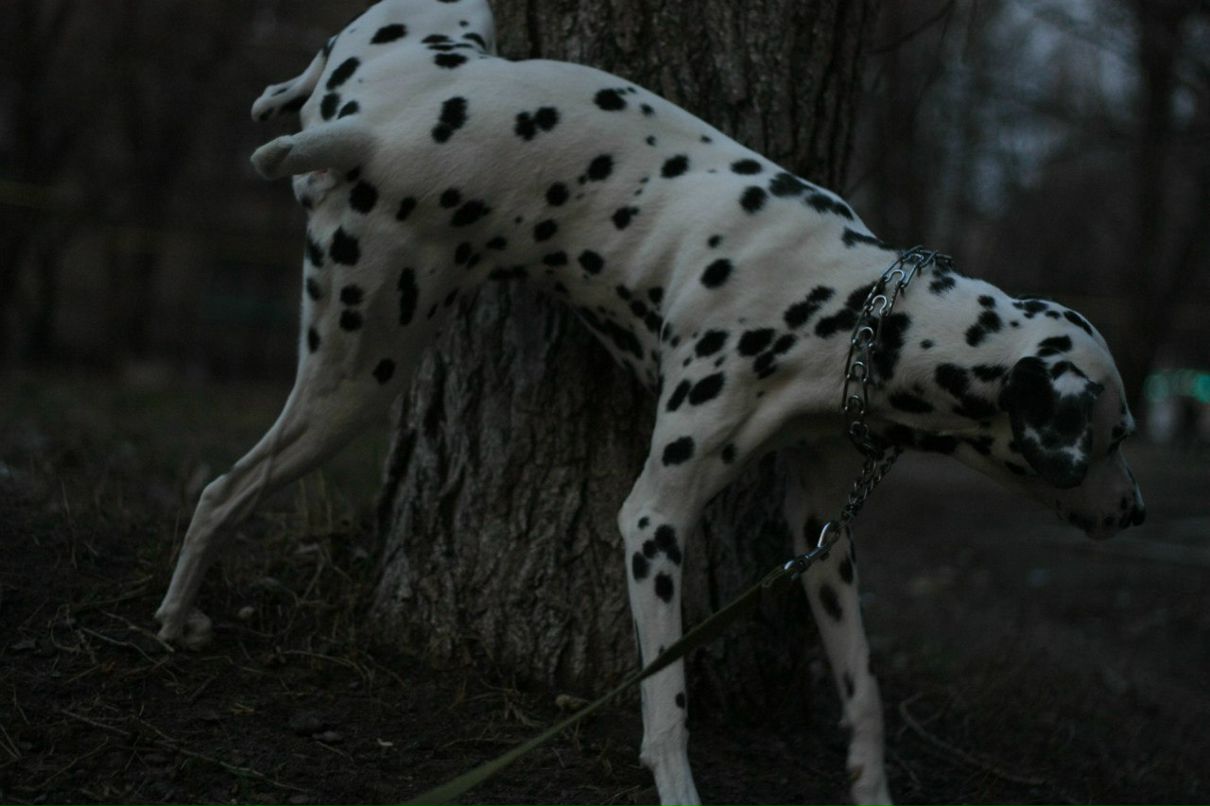 Славик Аджигитов | Москва