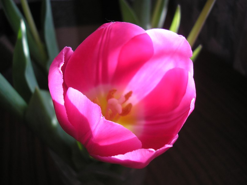 Марина Черезова | Кирово-Чепецк