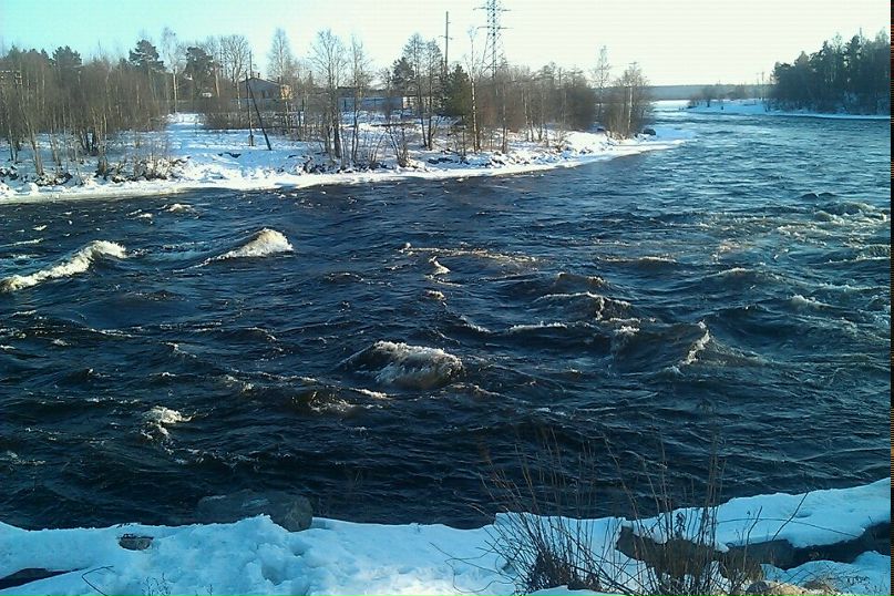 Олег Сардин | Севастополь