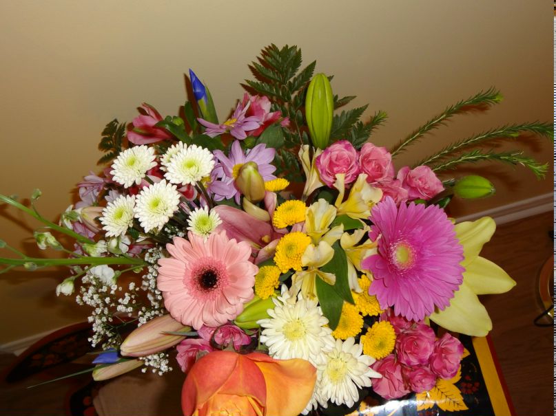 Alena Roganova | Бишкек