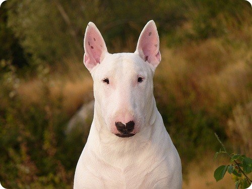 Bubble Gum | München