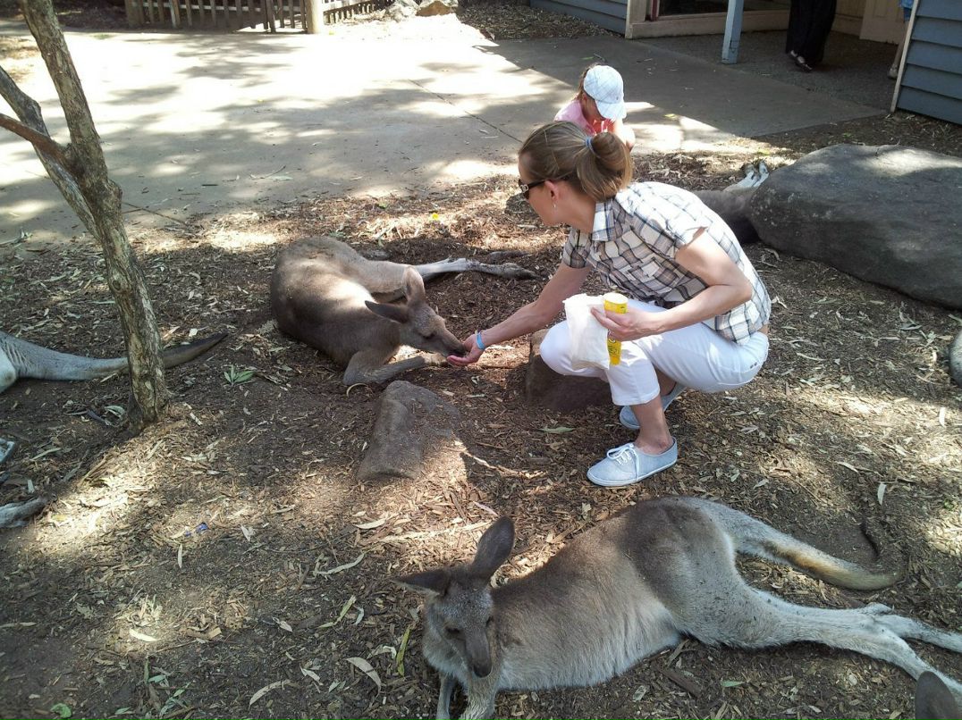 Людмила Елисеева Mila | 