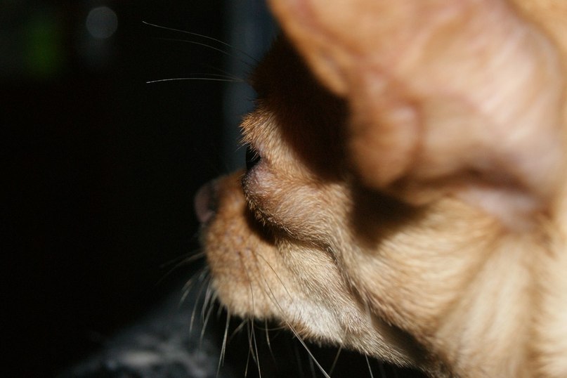 Лерия Ефремова Одинокая Ром@шка | Москва