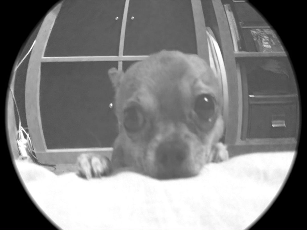 Владислав Владиславов | 