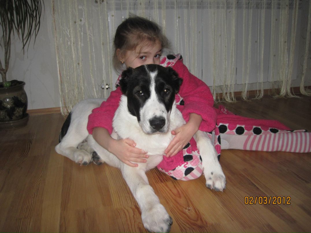 Evgeniya Korneeva | Симферополь