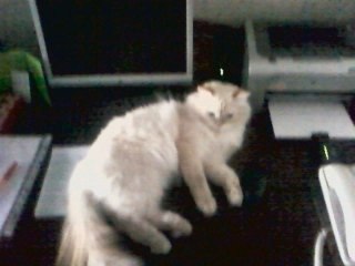 Катерина Чуваева | Великие Луки