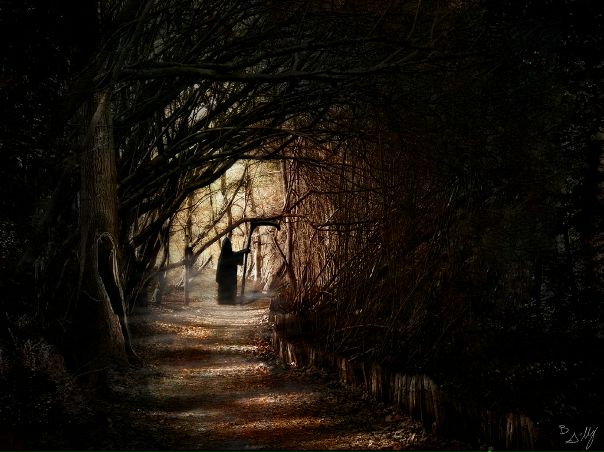 №15, Андрей Сергеев №15, Андрей Сергеев