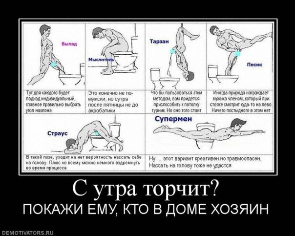 Павел Лавринович | Витебск