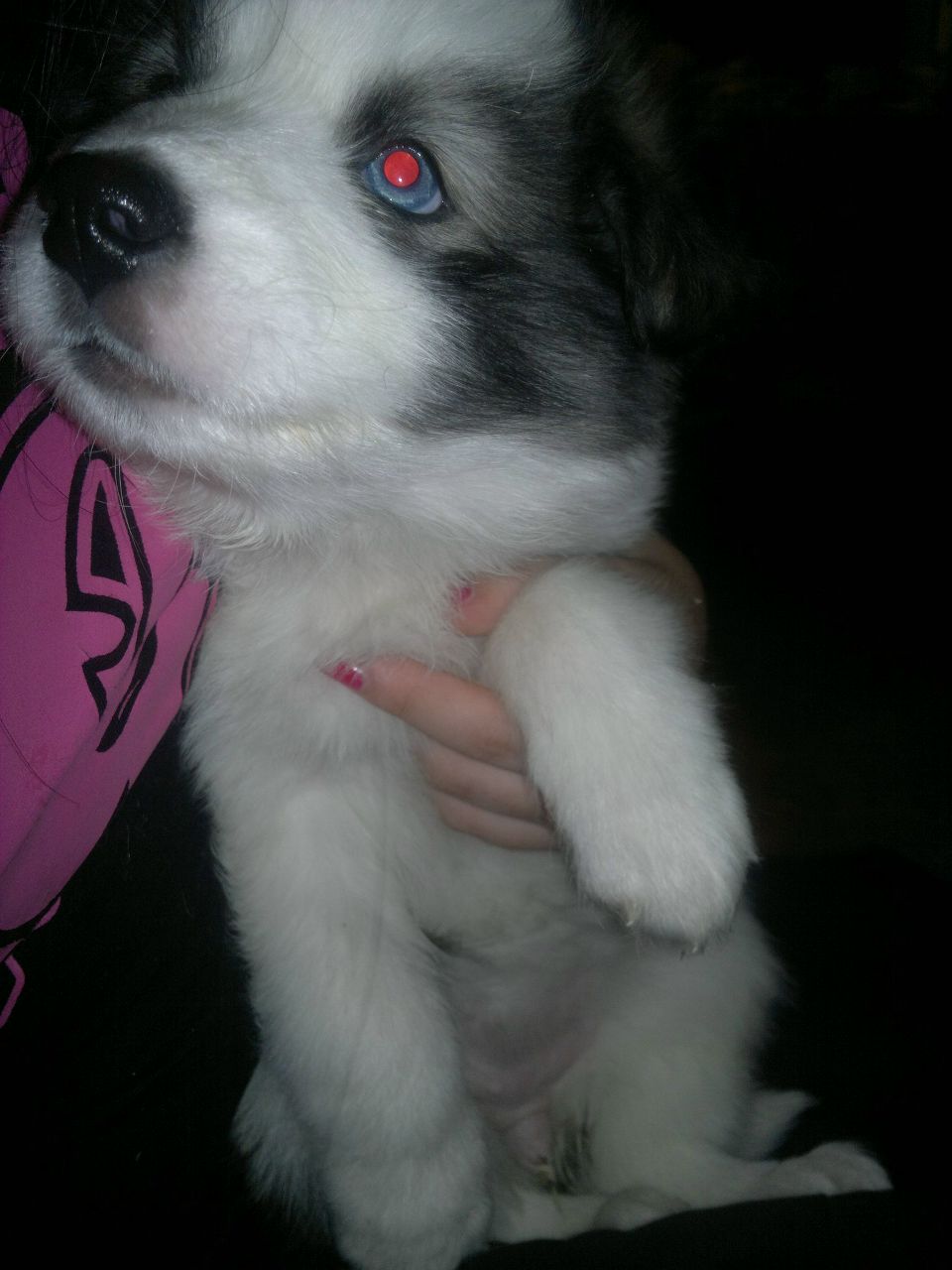 Александра Корякина | Чурапча