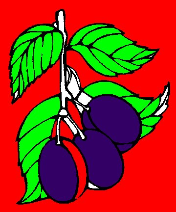 Жанна Николенко | Павлоград