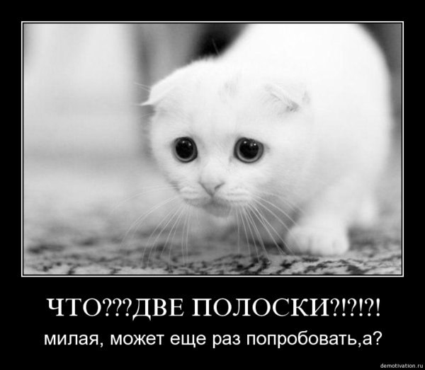 Александр Ксендзук | Енакиево